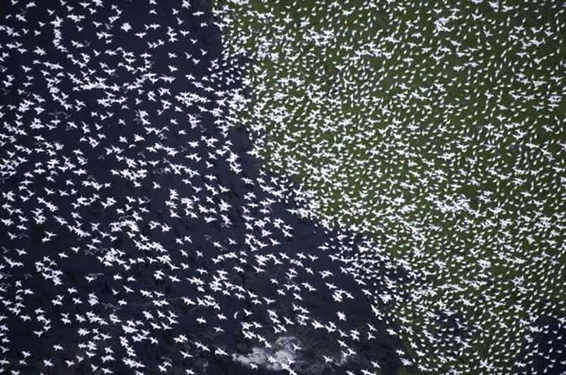 thien nhien vua gan vua xa trong cuoc thi anh national geographic