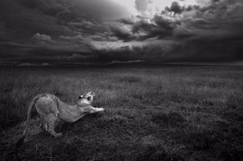 thien nhien vua gan vua xa trong cuoc thi anh national geographic