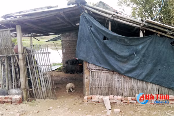 pha nhanh vu an va trom tai san o xa co dam