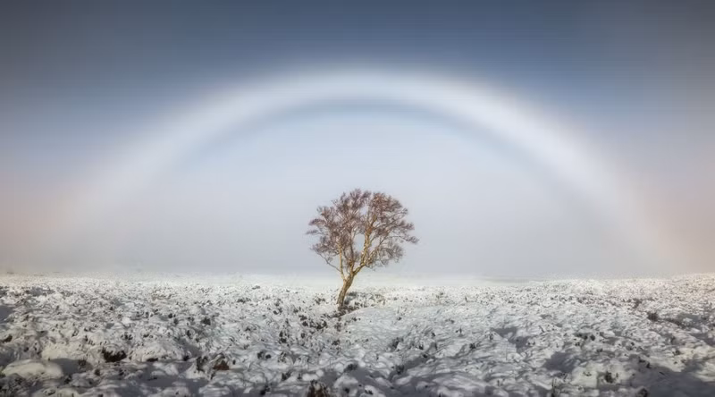 ngam nhung buc anh thang giai weather photographer of the year 2017