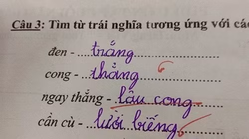 nhung bai kiem tra khien giao vien can loi