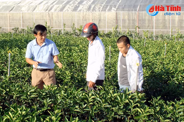 tien phong dua dac san ha tinh vao chuoi sieu thi vinmart