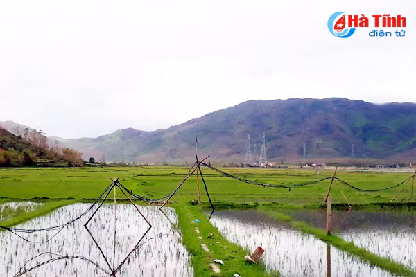 cham dut ngay viec ngan can sua chua duong dien sau bao o ky thinh