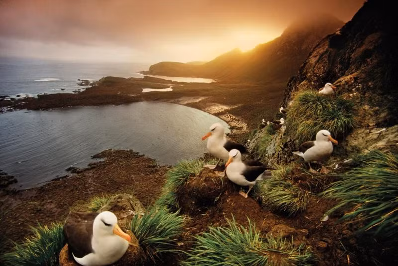 Biển Weddell, Antarctica: Đến thăm biển Weddell - nơi tận cùng của thế giới - đòi hỏi ta phải có một sức khỏe dẻo dai. Đa số du khách sẽ đi bằng tàu biển từ mũi Nam Mỹ, băng qua eo biển khét tiếng Drake. Đổi lại, bạn sẽ có được một trải nghiệm duy nhất trong đời, ngắm nhìn sự tĩnh mịch của biển, chứng kiến tận mắt những tảng băng to, hay cuộc sống hoang dã chưa từng bị tác động bởi bên ngoài ở một trong những nơi tận cùng Trái Đất - phía Nam đảo Georgia. nhung diem den dep nhu thien duong ha gioi