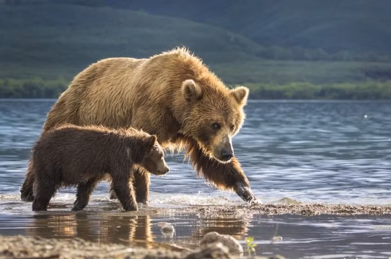 thien nhien vua gan vua xa trong cuoc thi anh national geographic
