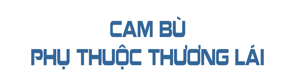 Khi cam bù, nhung hươu Hà Tĩnh vẫn quẩn quanh trên “sân nhà”!