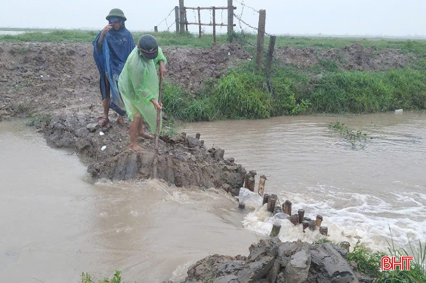 Các địa phương ở TP Hà Tĩnh tập trung khơi thông hệ thống thủy lợi, giúp nước trong các chân ruộng được rút nhanh hơn, góp phần hạn chế thiệt hại.