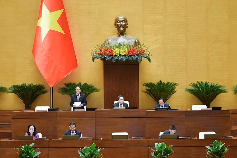 241107xv8thaoluanluatsua7luattaichinha1.jpg