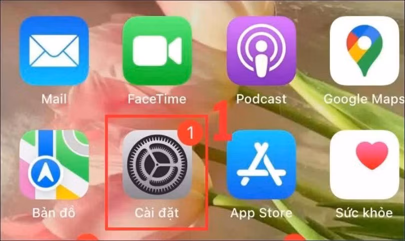 Mở ứng dụng “Cài đặt” trên iPhone hoặc iPad của bạn.