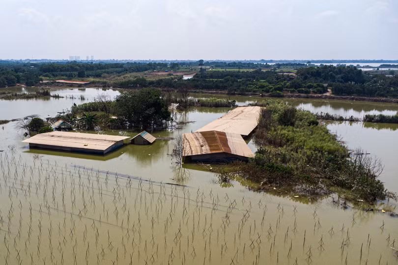 Một trang trại gà của người dân thôn Tráng Việt chìm sâu dưới dòng nước đục ngầu.