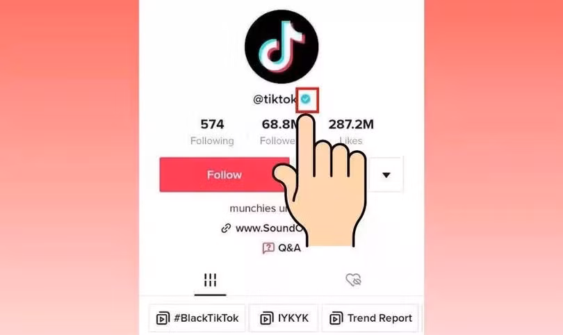 Cách lấy tích xanh TikTok
