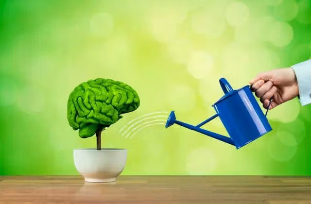 Khả năng ghi nhớ của não bộ có thể được cải thiện bằng cách thay đổi một cách linh hoạt, khoa học thói quen thường ngày (Ảnh: Jirsak/Shutterstock)