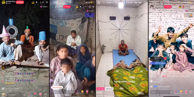Các buổi livestream cảnh gia đình ăn xin. Ảnh: TikTok