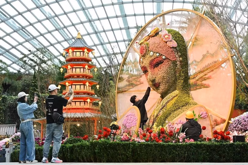 Du khách đến thăm triển lãm hoa mùa xuân được tổ chức tại Flower Dome ở Gardens by the Bay, Singapore. Chương trình diễn ra từ ngày 17/1 đến ngày 23/2 để kỷ niệm Tết Nguyên đán. Nổi bật giữa khung cảnh hoa nở rộ là tác phẩm hoa cao 4,5 m. Ảnh: Straits Times.