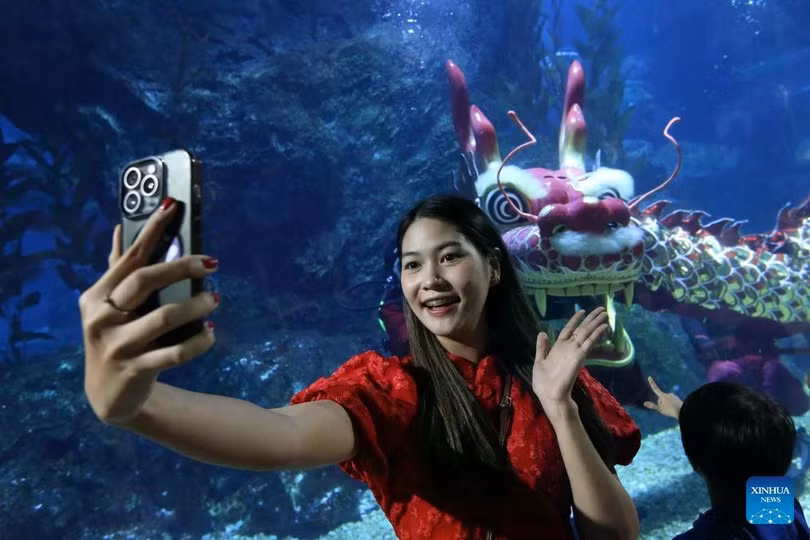 Các thợ lặn biểu diễn múa lân sư rồng tại thủy cung SEA LIFE Bangkok Ocean World để chào mừng năm mới 2025. Ảnh: Tân Hoa xã.