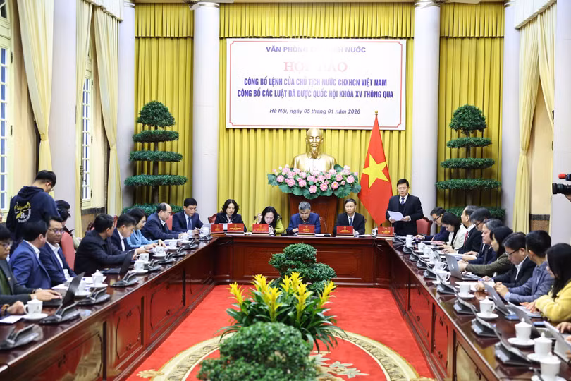 vp-ctn-hop-bao1-17676024743701074109679.jpg