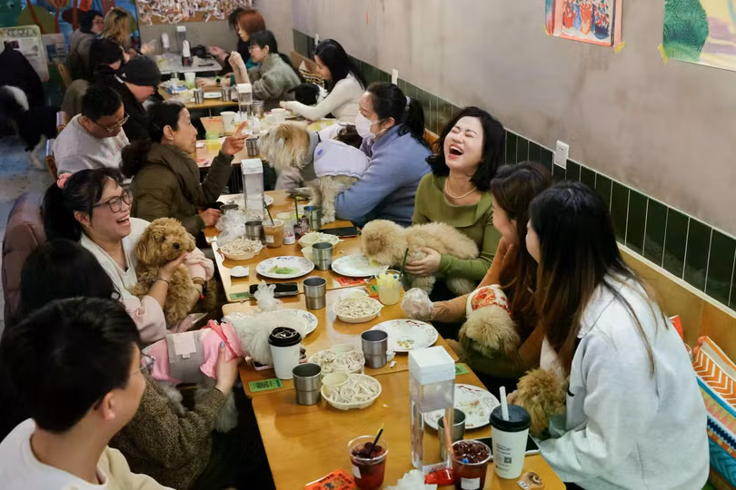 Một nhà hàng ở Thượng Hải tổ chức tiệc cho thú cưng trước Tết Nguyên đán. Ảnh: Reuters.