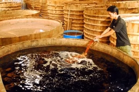 vinastas cai chinh thong tin ve khao sat nuoc mam