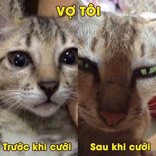 10 anh hai hot nhat facebook trong ngay