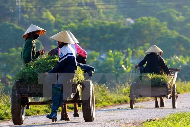 tang su lanh dao cua dang voi xay dung ntm do thi van minh