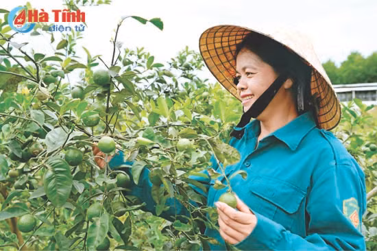hoi lhpn ha tinh tinh gon bo may nang cao hieu qua hoat dong