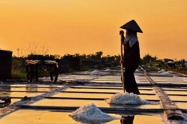 ngo ngang voi ve dep cua nhung canh dong muoi viet nam
