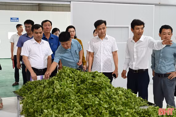Khi nông sản địa phương được "nâng hạng" bằng công nghệ