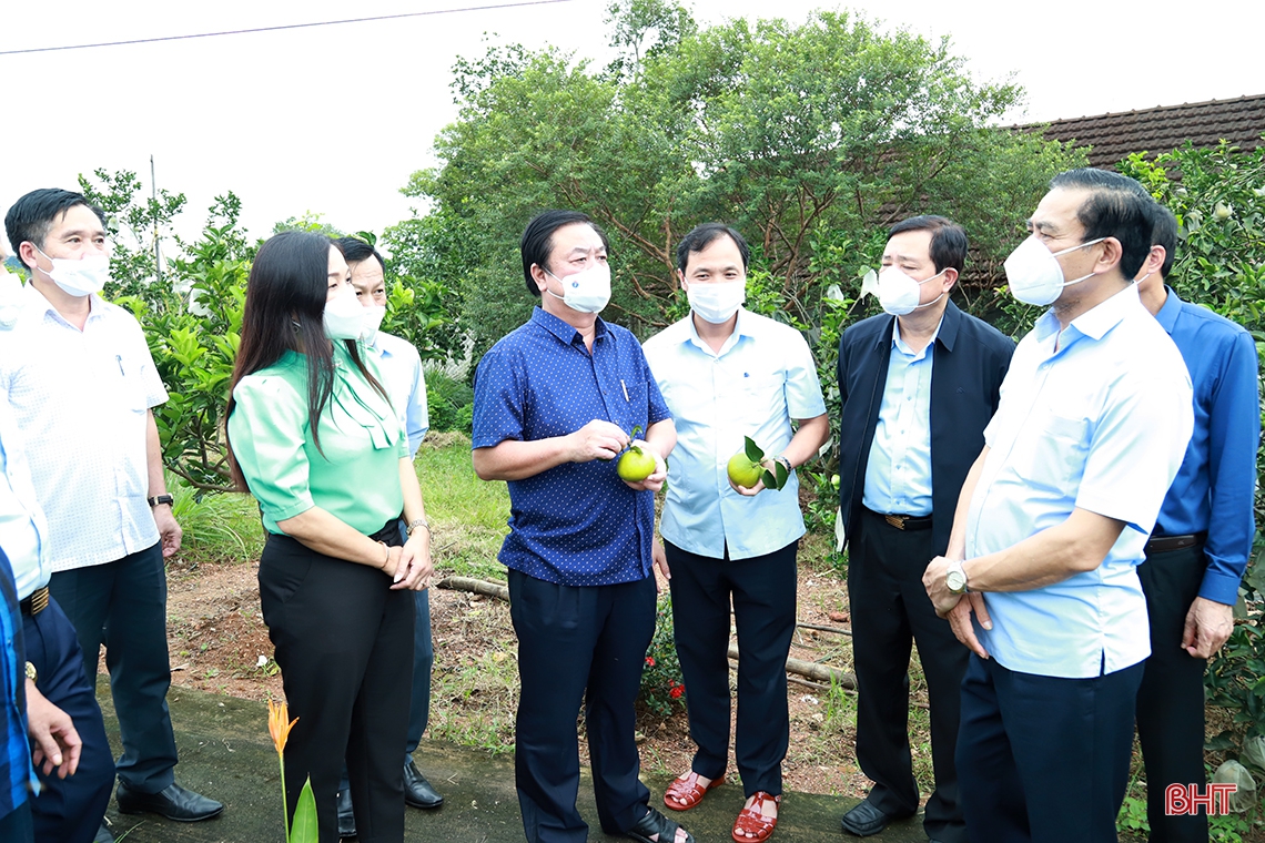 Hà Tĩnh phải hướng đến mục tiêu xây dựng nông nghiệp sinh thái, nông dân thông minh