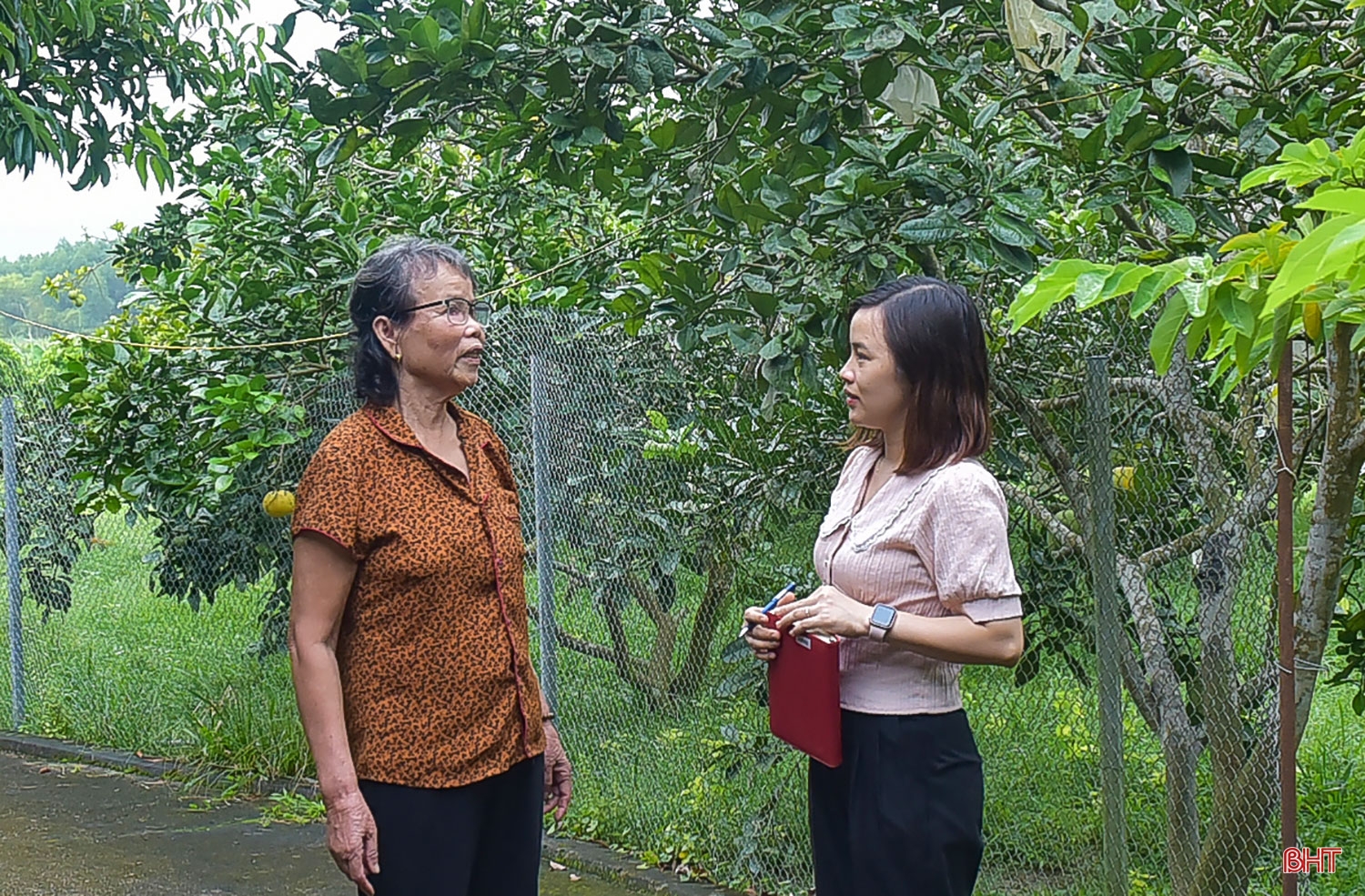 Nữ chi hội trưởng 72 tuổi: “Tôi vui khi được cống hiến, được làm nông thôn mới”