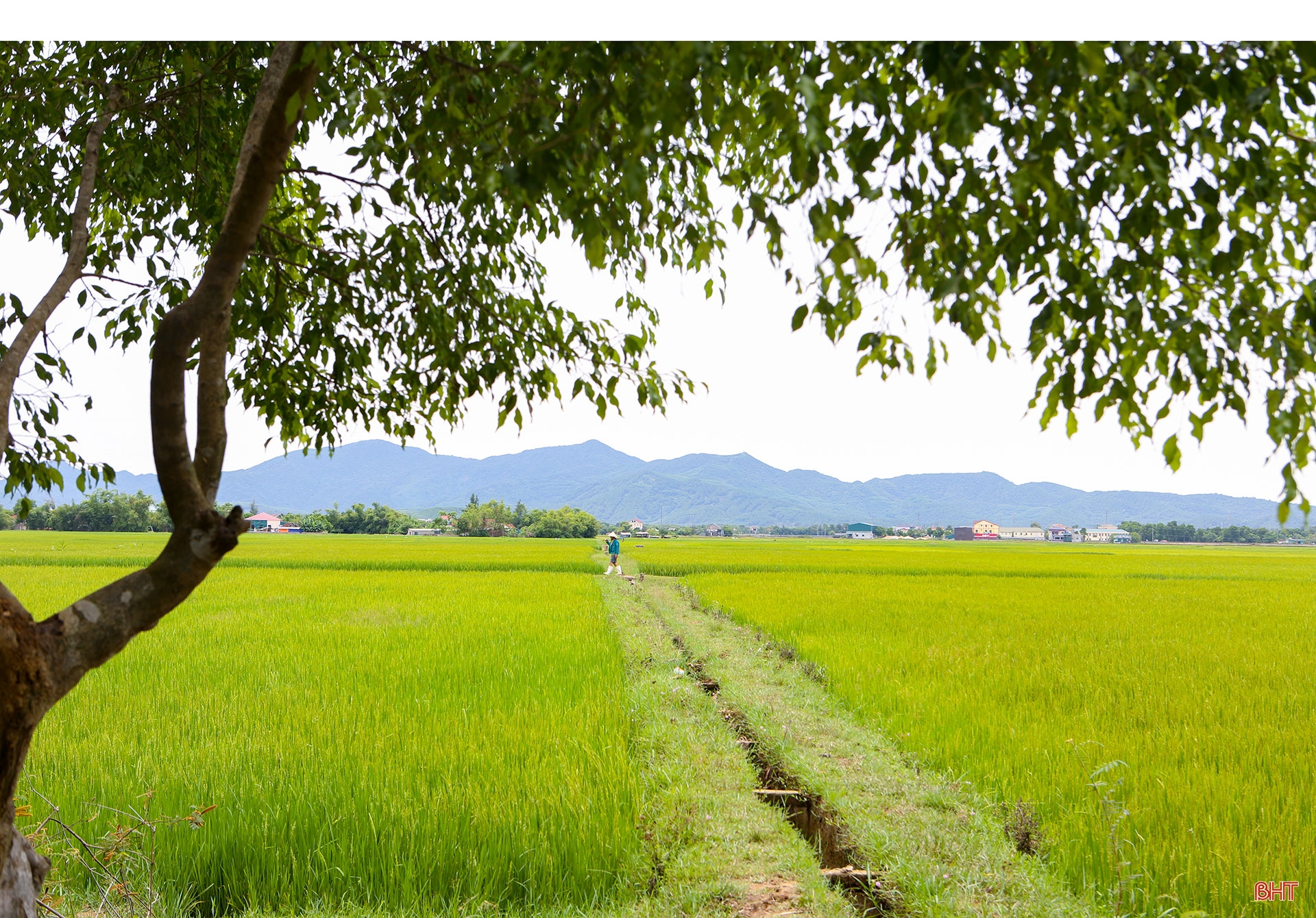 Vẹn nguyên ký ức về những ngày thu độc lập ở Hà Tĩnh