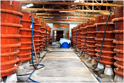Việc Vinastas công bố nhập nhèm chất lượng nước mắm gây hoang mang với người tiêu dùng, xã hội. vinastas pham luat khi cong bo nuoc mam nhiem arsen