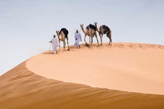 nhung diem nhat dinh phai ghe khi den abu dhabi