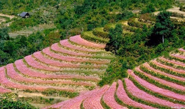 5 diem den khong the bo qua trong thang 11