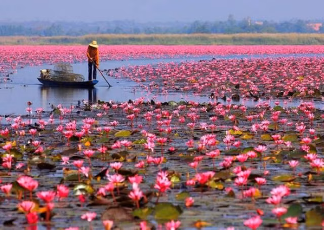 5 diem den khong the bo qua trong thang 11