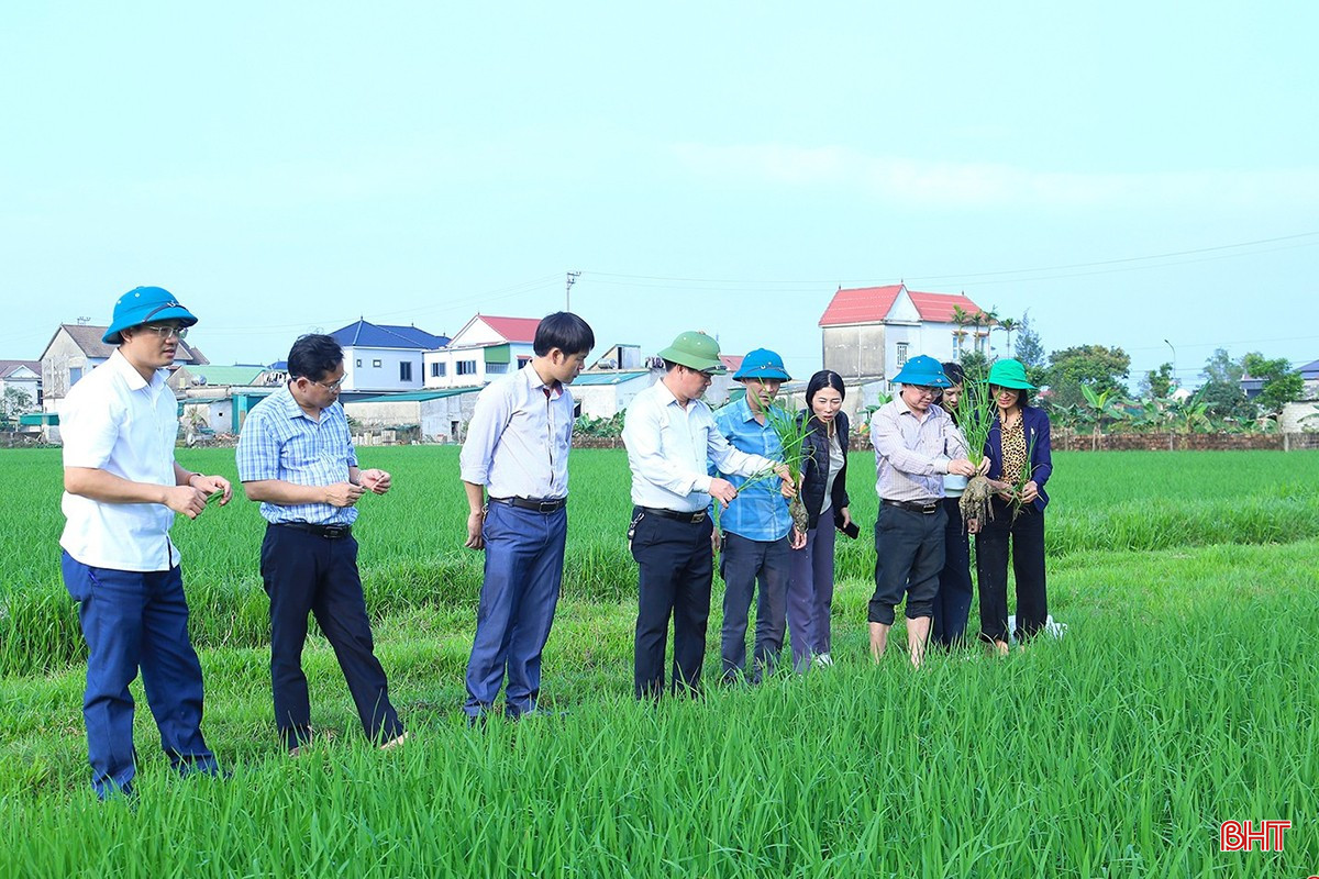bqbht_br_thoi-tiet.jpg