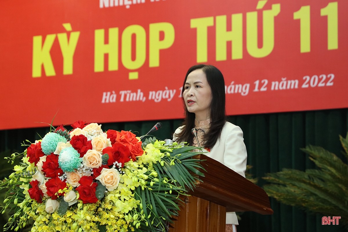 Đại biểu HĐND tỉnh gợi mở nhiều giải pháp thực hiện nhiệm vụ chính trị