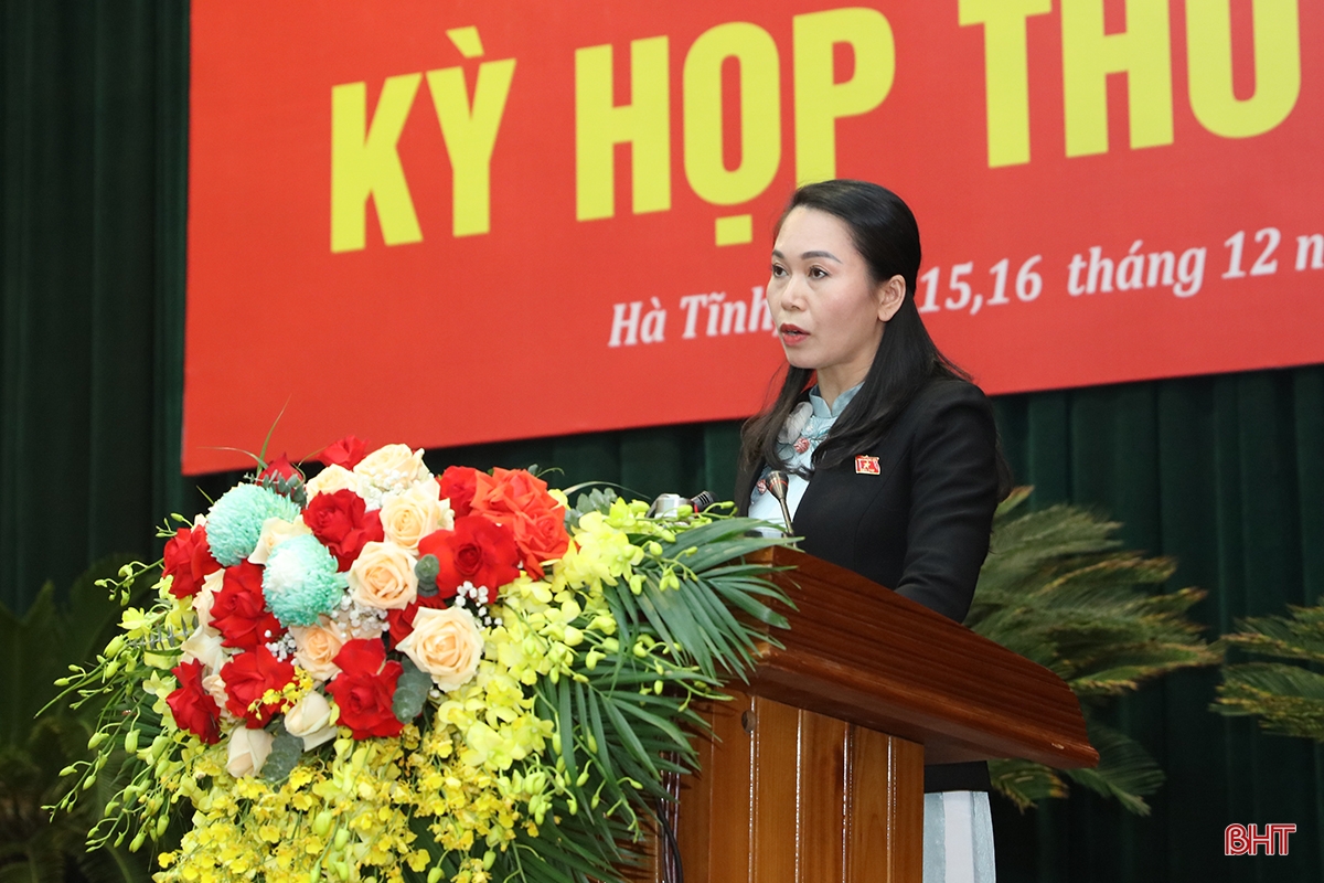 Đại biểu HĐND tỉnh gợi mở nhiều giải pháp thực hiện nhiệm vụ chính trị