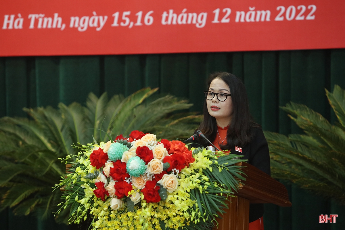 Đại biểu HĐND tỉnh gợi mở nhiều giải pháp thực hiện nhiệm vụ chính trị