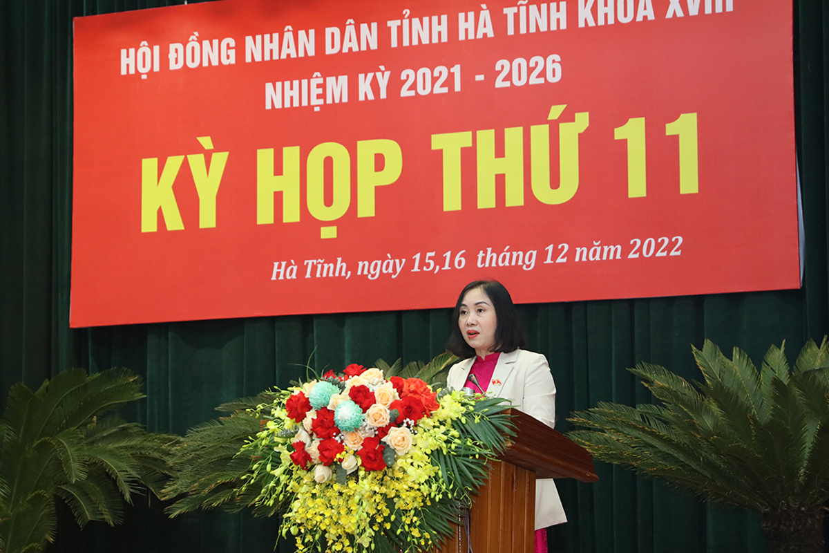 Đại biểu HĐND tỉnh gợi mở nhiều giải pháp thực hiện nhiệm vụ chính trị