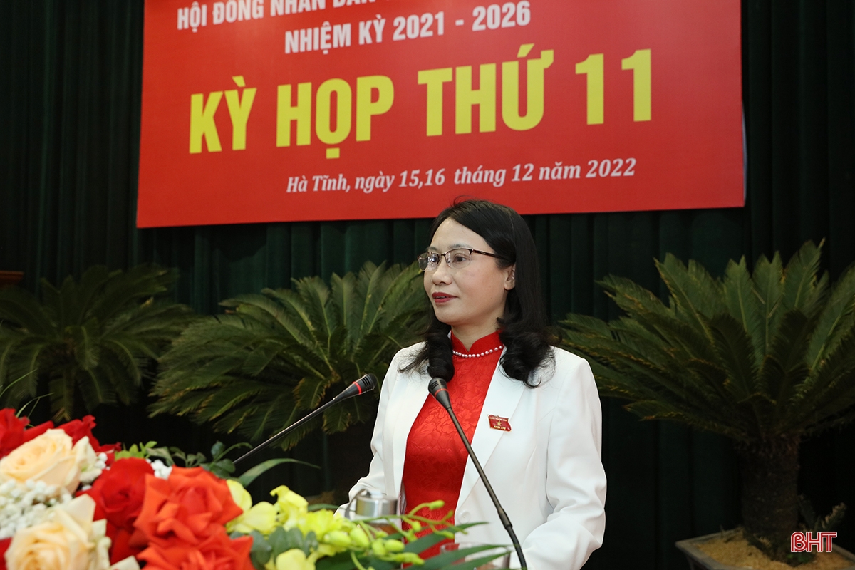 Đại biểu HĐND tỉnh gợi mở nhiều giải pháp thực hiện nhiệm vụ chính trị