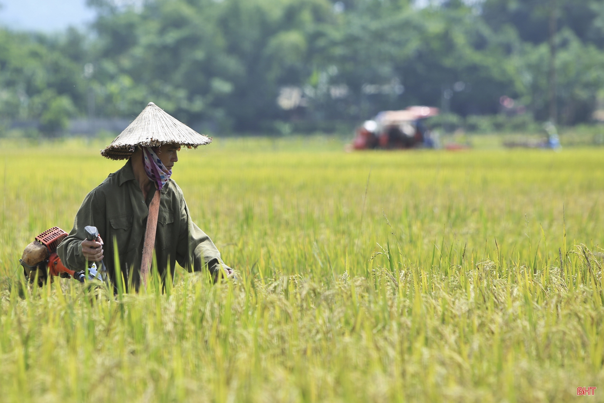 Về nơi nông dân chỉ có thể dùng máy gặt tay thu hoạch lúa ở Hà Tĩnh