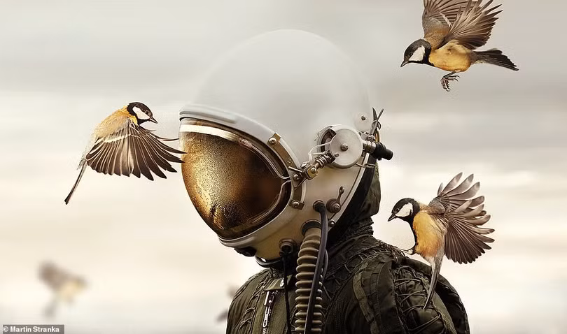 Việt Nam thắng chung cuộc Sony World Photography Awards 2019