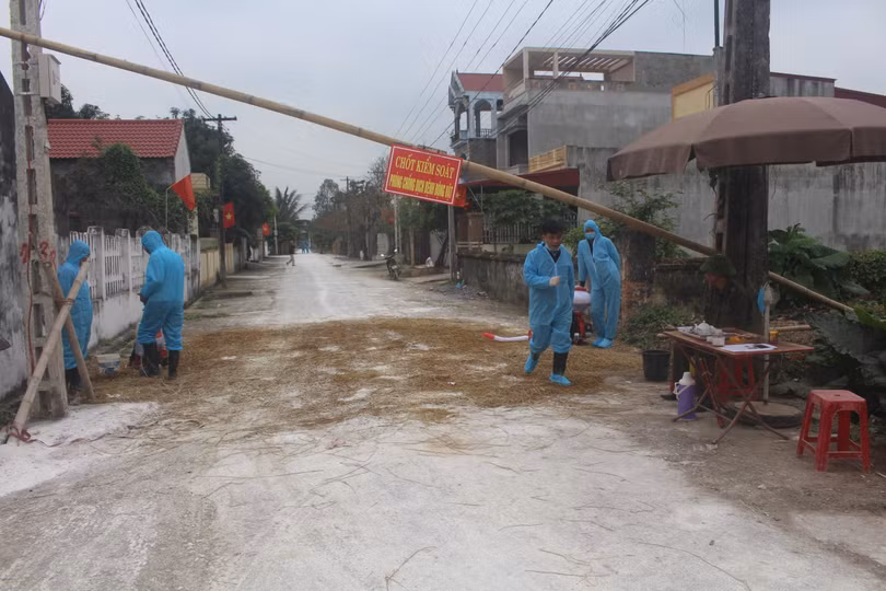 Phát hiện ổ dịch tả lợn châu Phi tại Thanh Hóa
