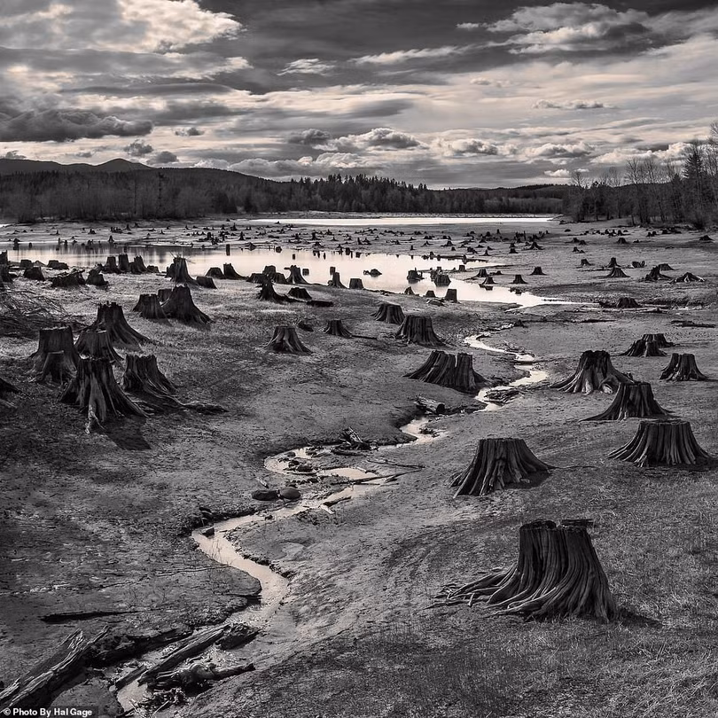 Việt Nam thắng chung cuộc Sony World Photography Awards 2019