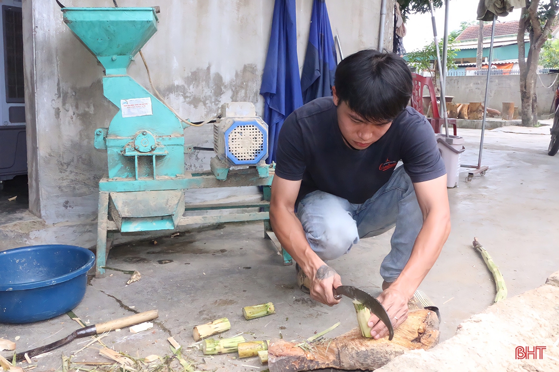 Thanh niên Cẩm Xuyên thu nhập cao sau gần 4 năm gắn bó với mô hình nuôi dúi