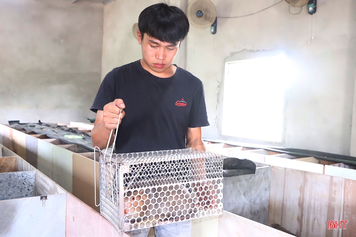 Thanh niên Cẩm Xuyên thu nhập cao sau gần 4 năm gắn bó với mô hình nuôi dúi