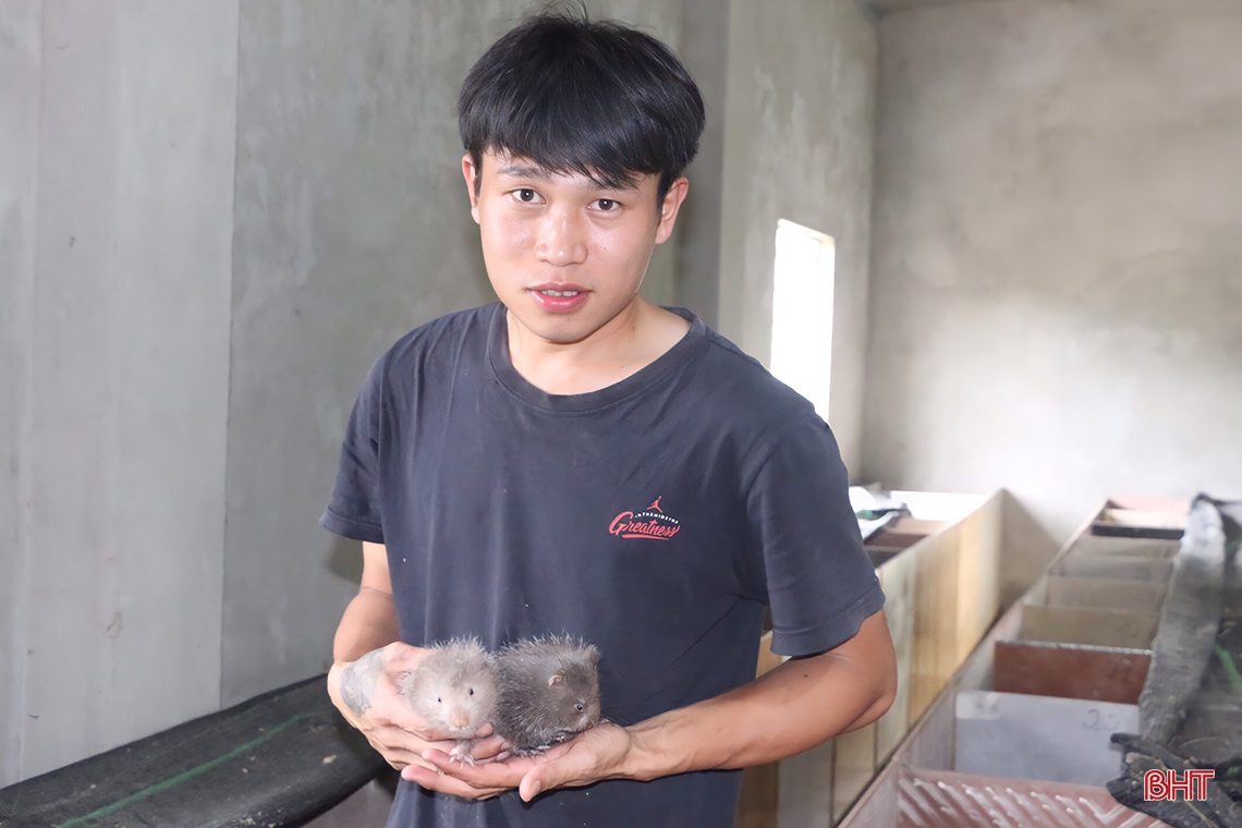 Thanh niên Cẩm Xuyên thu nhập cao sau gần 4 năm gắn bó với mô hình nuôi dúi