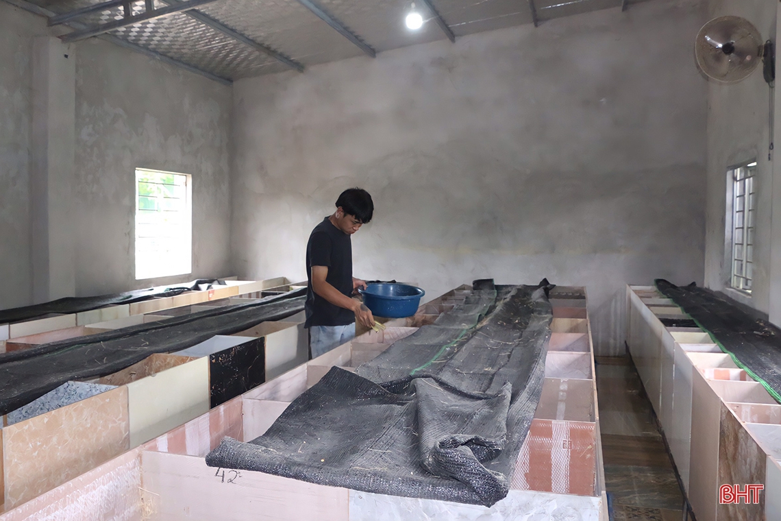 Thanh niên Cẩm Xuyên thu nhập cao sau gần 4 năm gắn bó với mô hình nuôi dúi