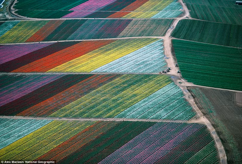 thien nhien dep ngo ngang trong sach anh national geographic