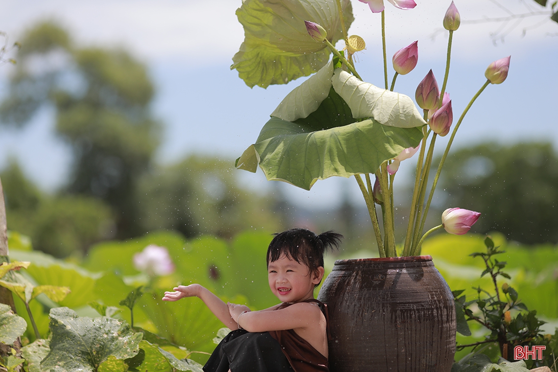 Những khoảnh khắc đáng yêu của em bé Hà Tĩnh bên hoa sen